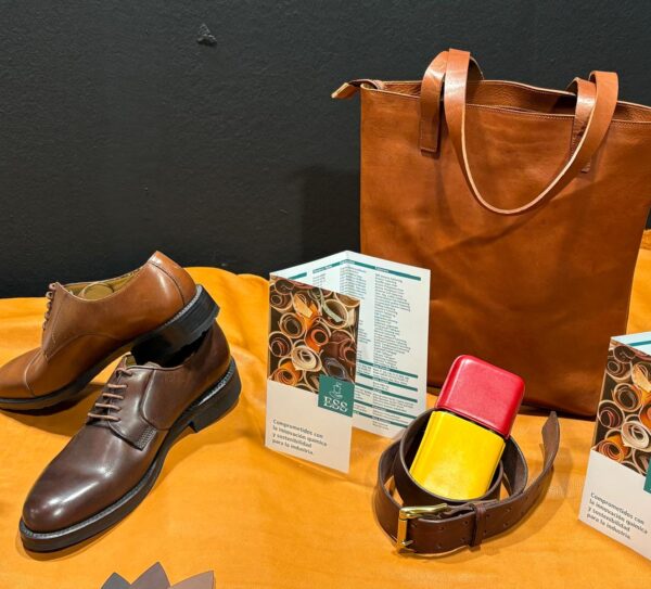 WhatsApp Image 2026-02-12 at 00.03.15 (2)